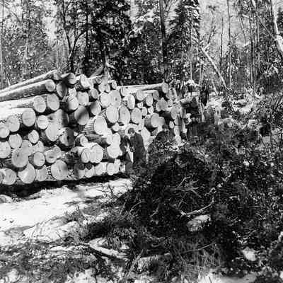 Lumberjack Next to Log pile