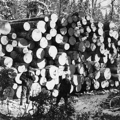 Lumberjacks next to a log pile