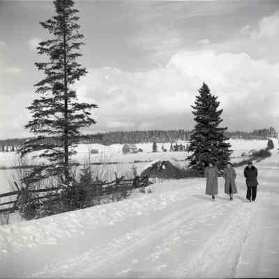 Alderdale Road, Farm, People