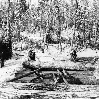 Lumberjack Rolling Logs