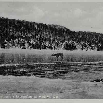 Winter scene along the Laurentians at Mattawa, Ont.