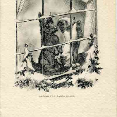 Puppies in the Window