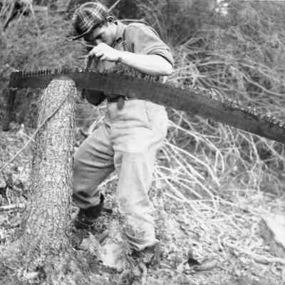 Lumberjack sharpening a saw