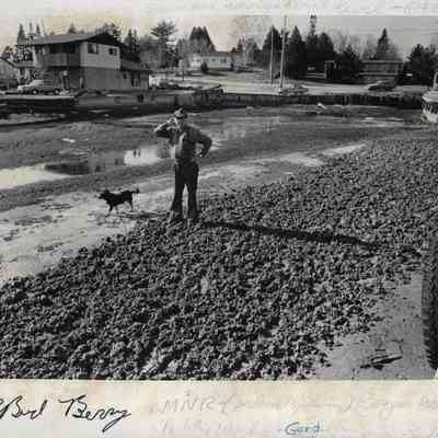Callander Low Water Level