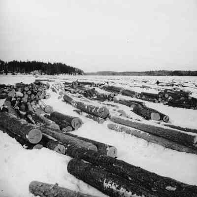 Log Piles on the Frozen Lake