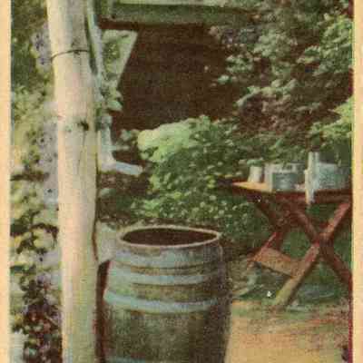 Cook Book