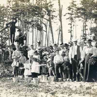 J.B. Smith & Sons Foraging Plants