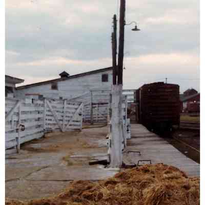 O.N.R. Stockyard