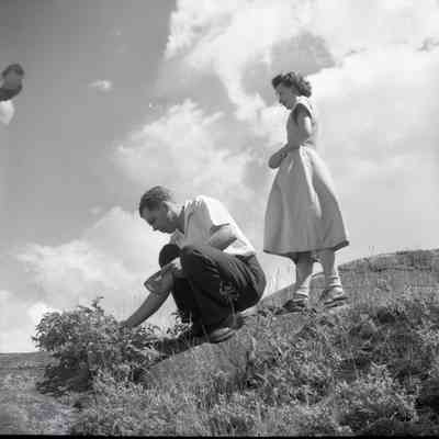 Berry Pickers