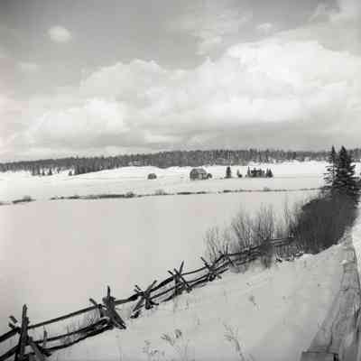 Fence and Farm Buildings