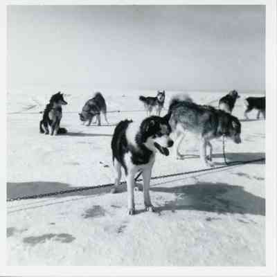 1966 Winter Carnival