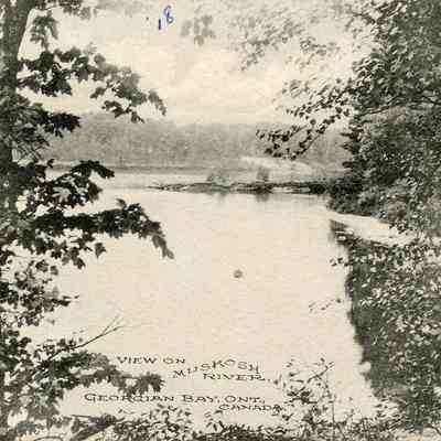 Valentine's Series
View of Muskoka River, Georgian Bay