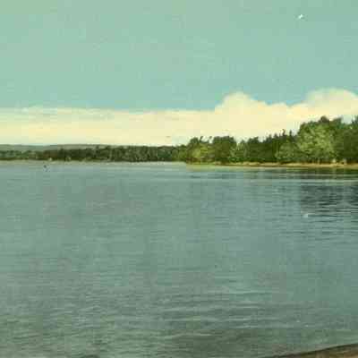 Shoreline Scene
