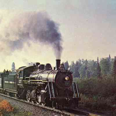 Steam Fan Special