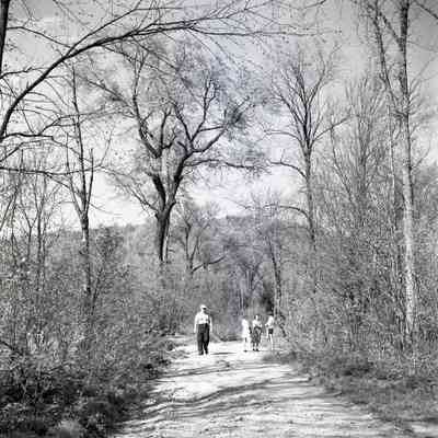 Trout Lake, McCoy's