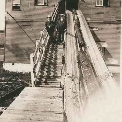 Saw Mill with Logs on Conveyor Belt 2