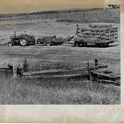 Farmers
