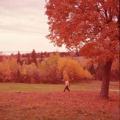 North Bay Golf Course- Autumn scene