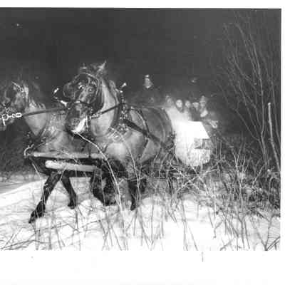 Sleighrides