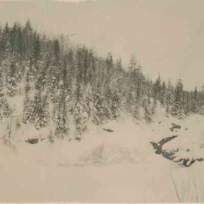 Snowy Landscape