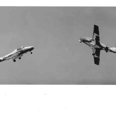 Snowbirds