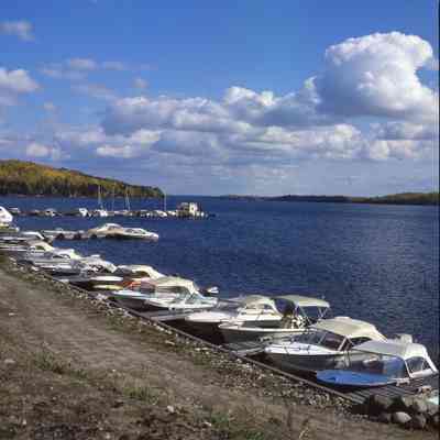 Trout Lake, Marina