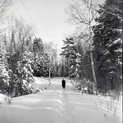 Off of Highway 63-Road to Cottage, Trout Lake