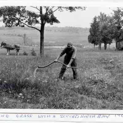 Cutting Grass At North Bay With A Scythe