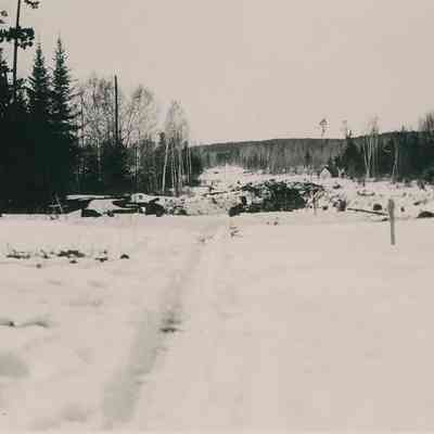 Winter Landscape