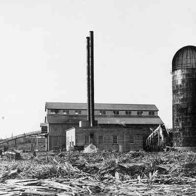 Bark Shavings Outside Lumbermill