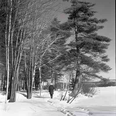 Trail by the Lake- Anita Ave. Trout Lake