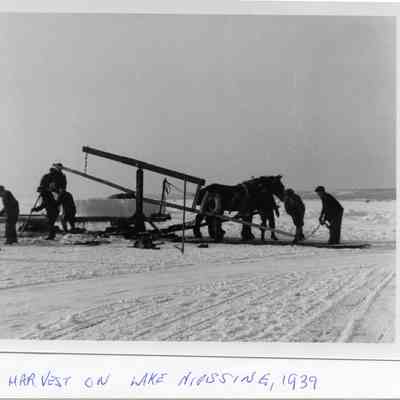 Ice Harvest On Lake Nipissing, O.N., 1939