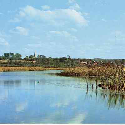 Lakeside Scene