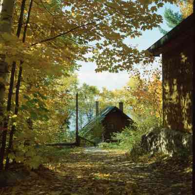 Trout Lake Cottage, Autumn trees, Silver Lady Lane, Trout Lake