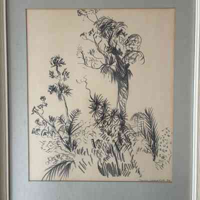 30.9.25a Original Charcoal Drawing – Bush Trees, Waipoua Forest – Signed by Artist, 1978
