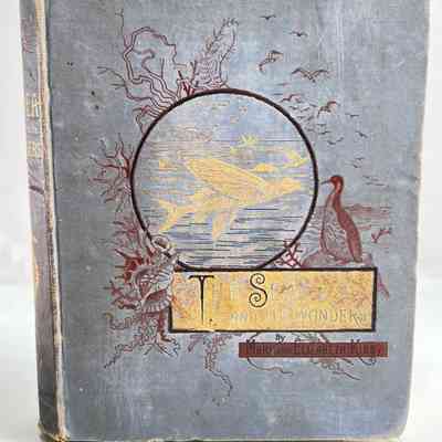 3.6.25b The Sea and Its Wonders by Mary and Elizabeth Kirby (1884)