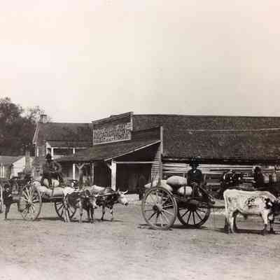 Plantation Scene: At the Store - Thomasville, Georgia 1875