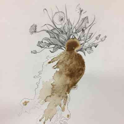 Cleanse I