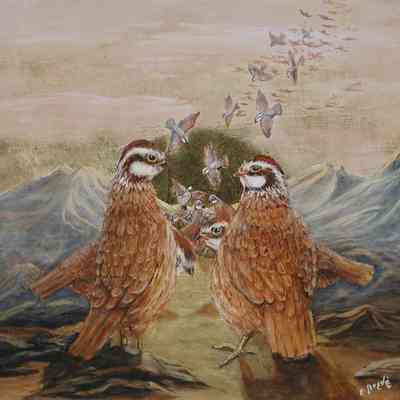 Quails in the Wilderness