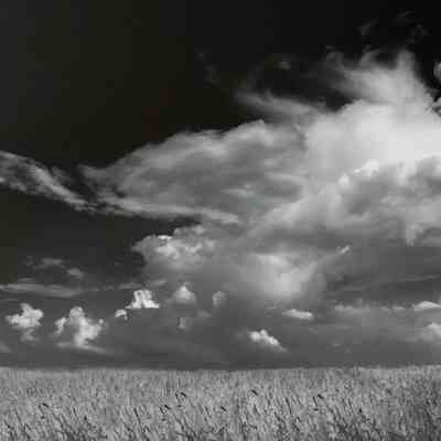Wheatfield and Clouds