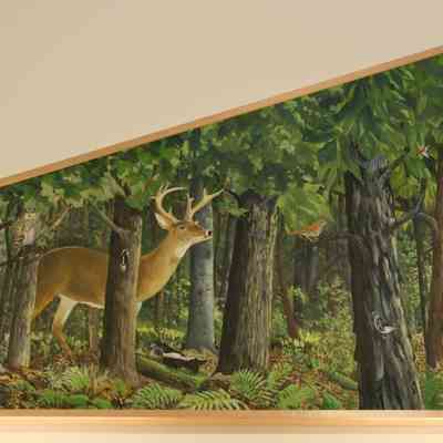 Woodlands