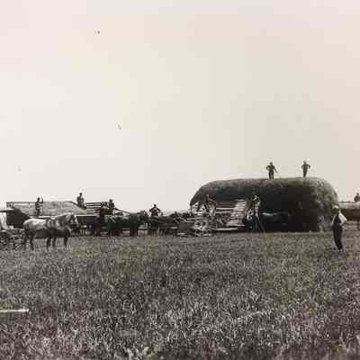 Reapers 1908