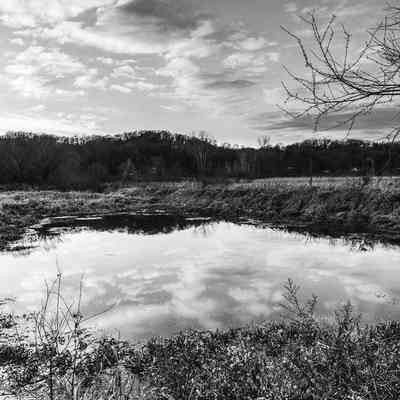 Upon Reflection 1