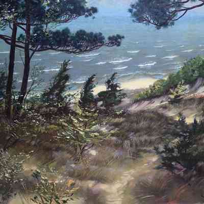 Bluffs of Lake Michigan