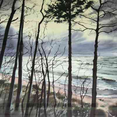 Winter Trees