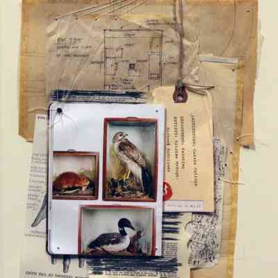 Untitled (booklet with birds and rodent, notes, sketches, thread, steel pins, nails)