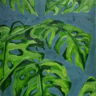 Monstera