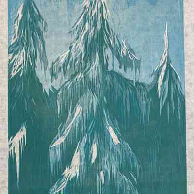 Fir Trees