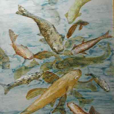 Sacred Koi