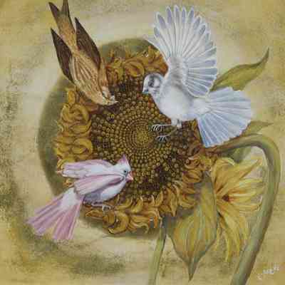 Three Feeding Birds